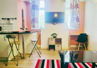 Bright and Cosy 1BR Flat w Balcony and Free Parking - Nottingham - 3