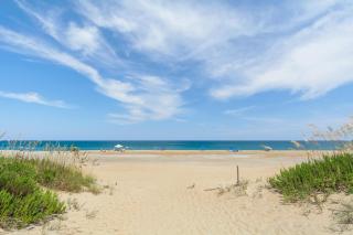Jolly Mon - Nags Head - 7
