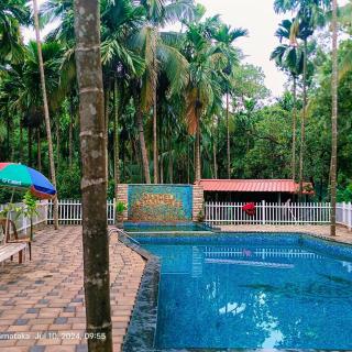 Dandeli palm tree cottages - - 8