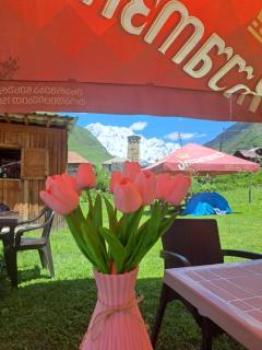 Chvibiani Guesthouse & Bar - Uschguli - 1