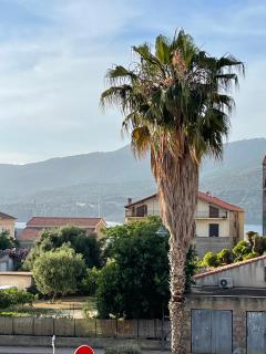Appartement 3 chambres - Propriano - 9