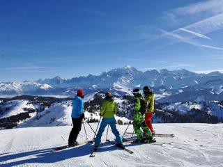Chalet spacieux proche pistes et centre, animaux acceptés et parking - FR-1-505-75 - Crest-Voland - 7