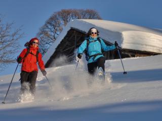 Chalet spacieux proche pistes et centre, animaux acceptés et parking - FR-1-505-75 - Crest-Voland - 5