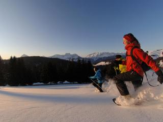 Chalet spacieux proche pistes et centre, animaux acceptés et parking - FR-1-505-75 - Crest-Voland - 4