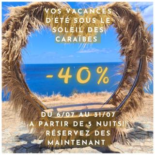 135_ananas_bdg - La Trinité - 0