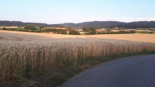 NF Alpenvorland - - 6