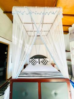 Royal Mount Ella - 1