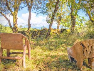 Glamping Grignan 5 personnes vue exceptionnelle - Réauville - 7