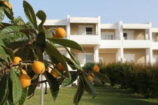 Skion Palace Beach Hotel - Nea Skioni - 3