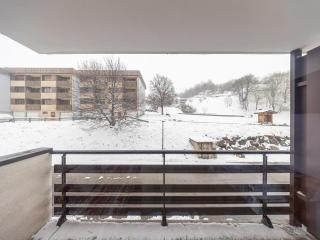 Studio 24m² pour 4 pers, proche pistes et commerces - FR-1-807-42 - 4