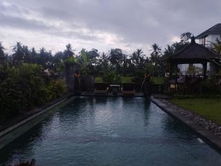 Beras Bali Suite - Ubud - 8