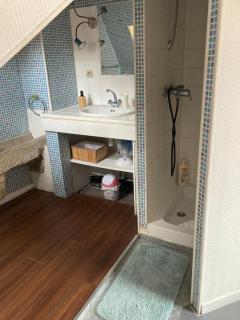Au pied du Logis Royal - 6