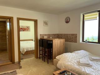 Snow Hill Kopaonik - Zrenjanin - 3