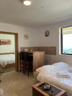 Snow Hill Kopaonik - Zrenjanin - 2