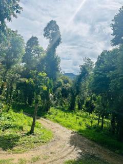 Tropica By CBR - With Private Waterfalls & Coffee Plantation - Aldūr - 8