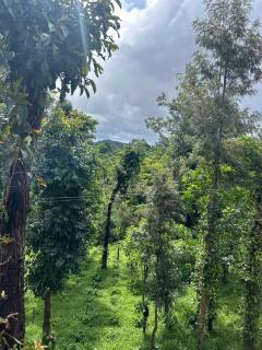 Tropica By CBR - With Private Waterfalls & Coffee Plantation - Aldūr - 6
