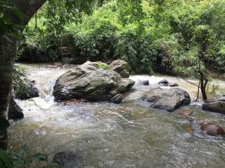 Tropica By CBR - With Private Waterfalls & Coffee Plantation - Aldūr - 9