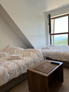 Snow Hill Kopaonik - Zrenjanin - 6