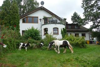 Bushof - Leben auf dem Land - Sulzbach an der Murr - 0