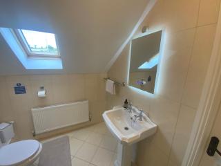 Lake View Doubleroom&private Bath - Castlebar - 7
