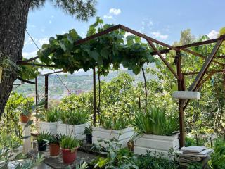 CityView Garden Retreat - Gjirokastra - 3
