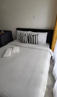 Bobo's Spacious Studio Apartment - 4