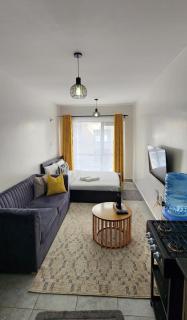 Bobo's Spacious Studio Apartment - Ongata Rongai - 3