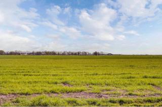 Peace and beautiful views - 6