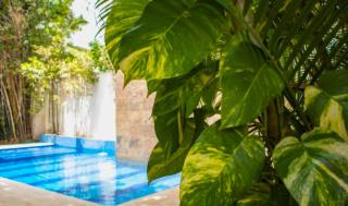 Studios y Suites Bacalar - Bacalar - 9