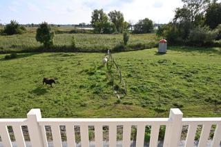 Holiday home in Poseritz - Insel Rügen 41511 - Poseritz - 8