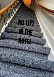 Hotel Hortus - Amsterdam - 2