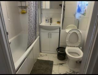 Studio Apartment SW2 - Moffat - 5
