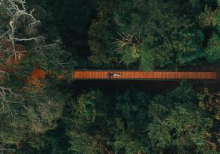 TreeCasa Hotel & Resort Nicaragua - 6