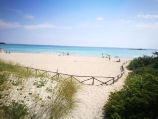 Il Corso di Silvia - Porto Cesareo - 3
