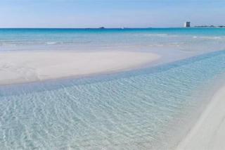 Il Corso di Silvia - Porto Cesareo - 2