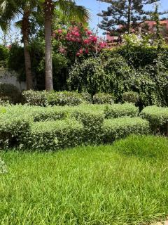 beach front gardens - Mohammedia - 5