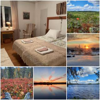 Lapland Nature and Health - Junosuando - 5