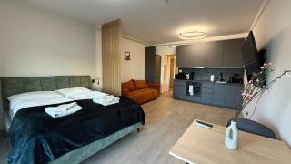 1,5 room AC apartment, balcony,new building, Downtown, Old City - Nivy - 7