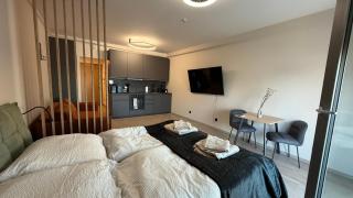 1,5 room AC apartment, balcony,new building, Downtown, Old City - Nivy - 8