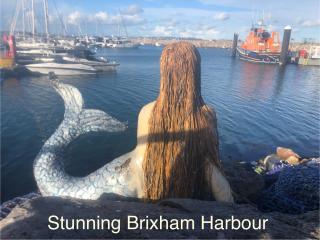 "FISHERMAN'S" Seconds from the Harbour, Shops & Restaurants with unlimited free parking nearby - Brixham - 4