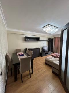 Midtown Apartment in the Heart of Baku - Baku - 8