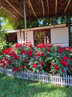 cabañas de Apaneca - Apaneca - 3