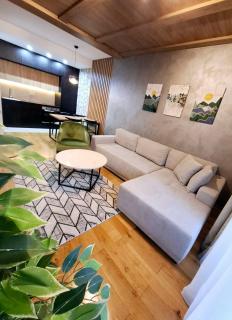 Albero Pino Apartman Zlatibor - Zlatibor - 7