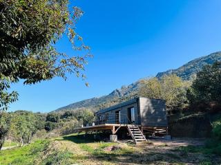 Charmante maison bois T3 Ucciani - Ucciani - 7