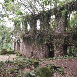 Casa na Praia da Lagoinha com pomar - 4