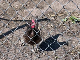 Domek 2-4 osobowy - 6