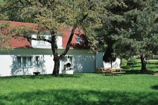 Vilas & Wellness Resort Orlík - Kozárovice - 3
