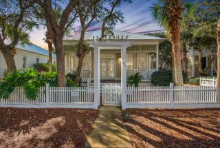 The Salty Palm free beach service pet friendly - 2