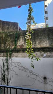 Depto 1 bedroom in Palermo - Buenos Aires - 2