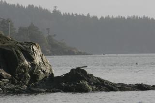 La Conner Camping Resort Deluxe Cabin 5 - 4